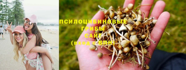 эйфоретик Абинск