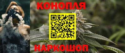 сатива Беслан