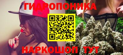 сатива Беслан