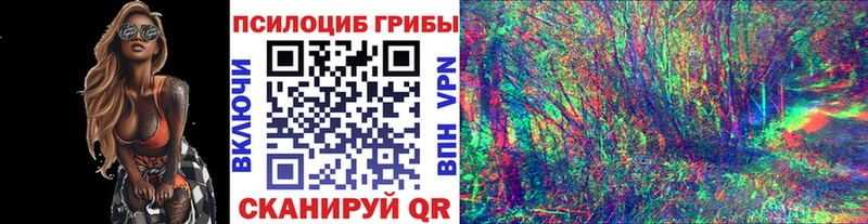 Галлюциногенные грибы Cubensis  Балахна 