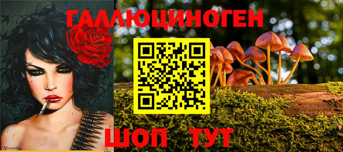 Галлюциногенные грибы Cubensis Балахна