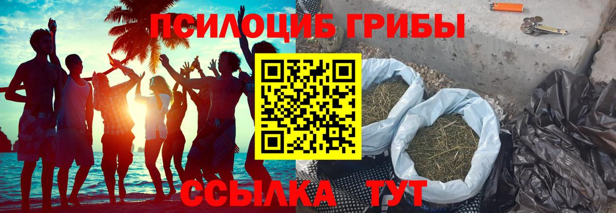 наркотики  Галлюциногенные грибы Magic Shrooms  Вход с VPN  Балахна 